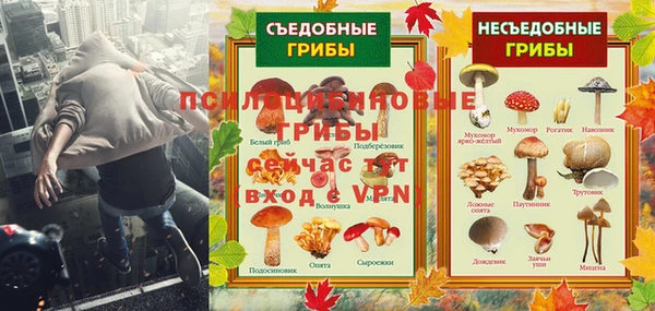 мяу мяу мука Осташков
