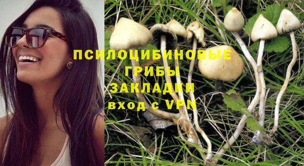 герыч Осинники
