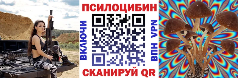 Купить где  Шлиссельбург  Псилоцибиновые грибы MAGIC MUSHROOMS 